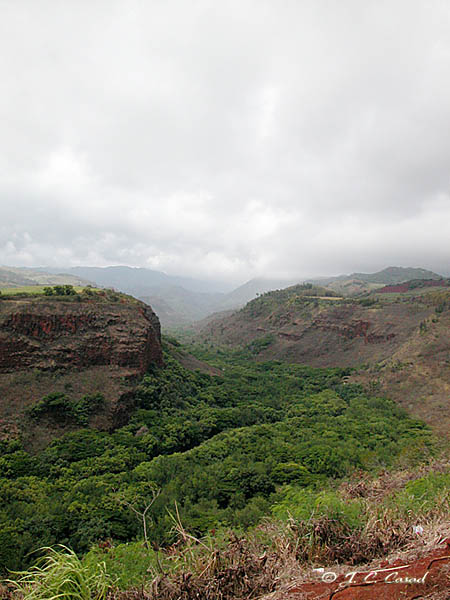 Scenic Gallery - Picture Eleven