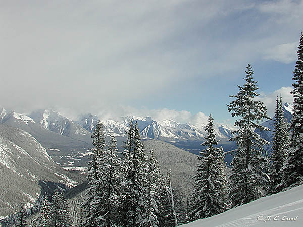 Scenic Gallery - Picture Twelve