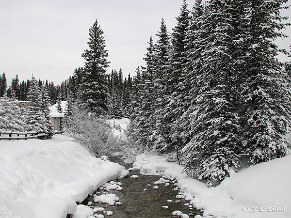 Scenic Gallery - Picture Two