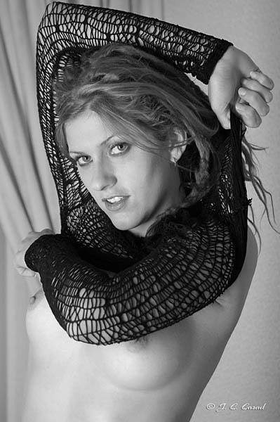 Black & White Gallery - Picture Two