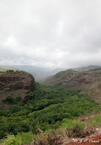 Copyright J. C. Casad