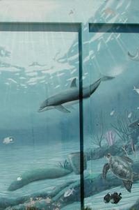 Mural Art by WyLAND